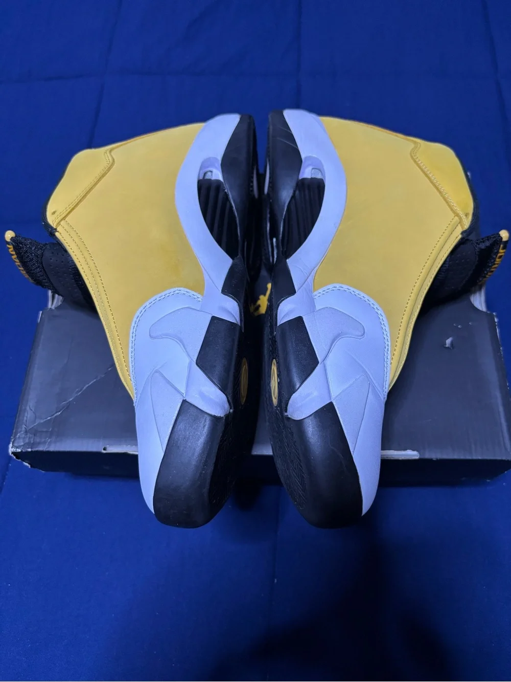Jordan 14 retro